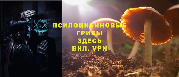 стафф Алексин