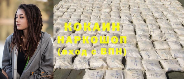 стафф Алексин